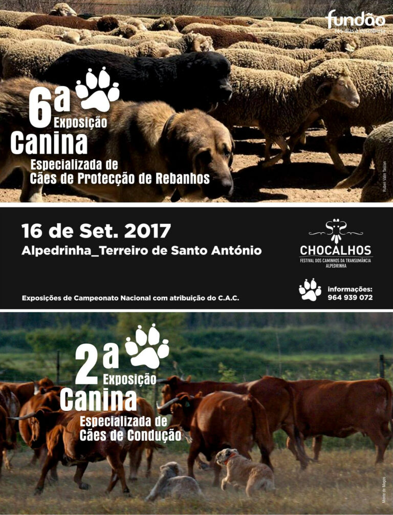 Exposição Canina Especializada de Cães de Proteção, Chocalhos 2017